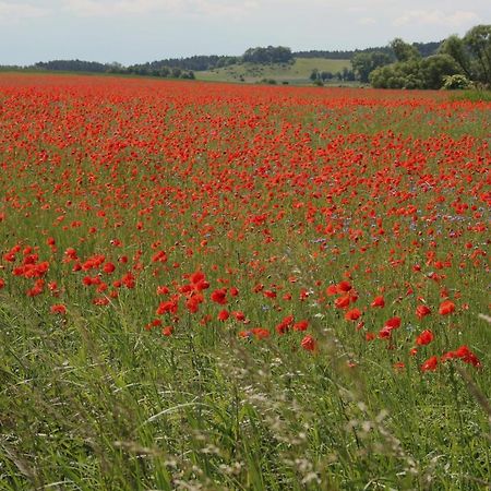 Ferienwohnung Am Weltnaturerbe Grumsin Ziehten Esterno foto
