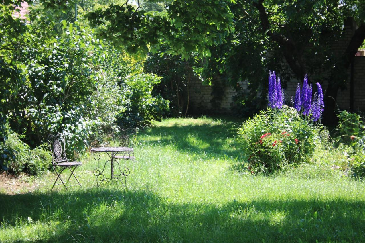 Ferienwohnung Am Weltnaturerbe Grumsin Ziehten Esterno foto