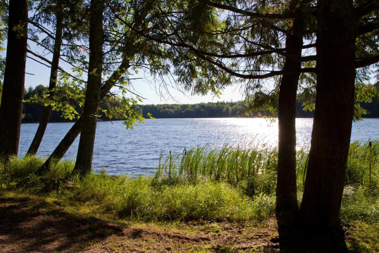 Ferienwohnung Am Weltnaturerbe Grumsin Ziehten Esterno foto