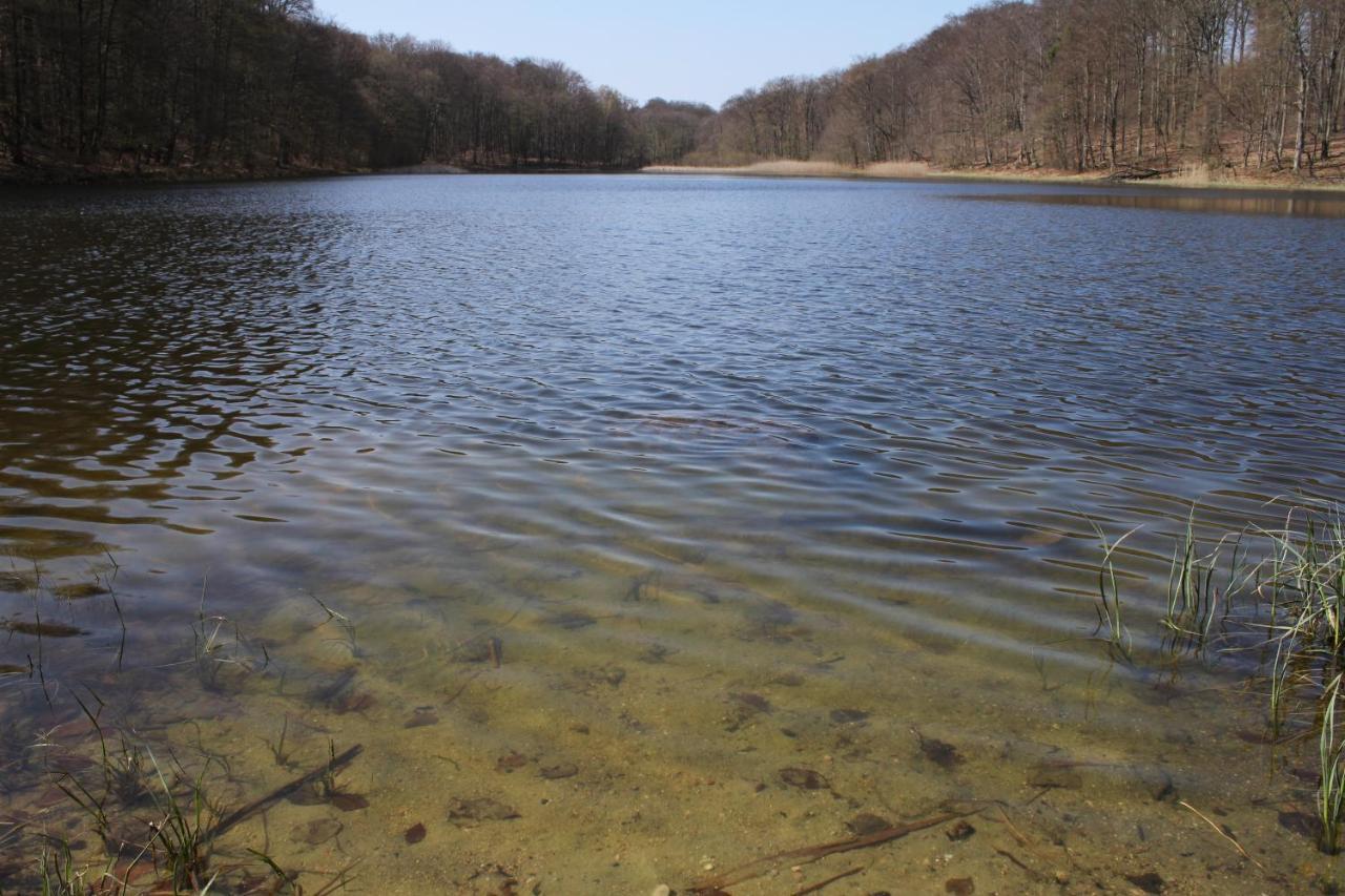 Ferienwohnung Am Weltnaturerbe Grumsin Ziehten Esterno foto
