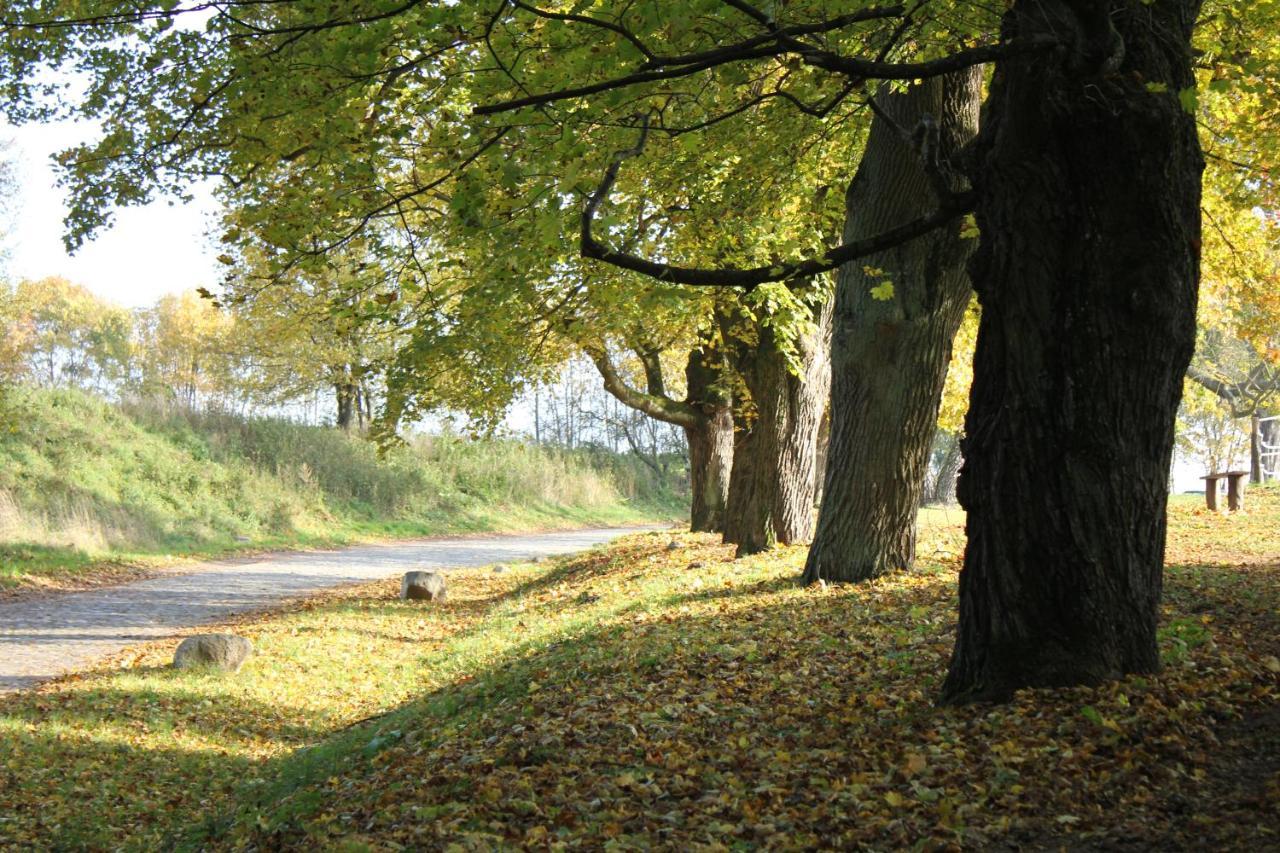 Ferienwohnung Am Weltnaturerbe Grumsin Ziehten Esterno foto